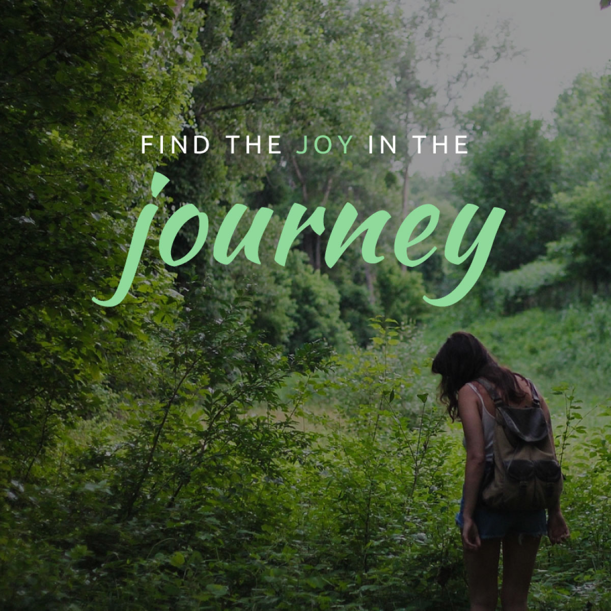 Finding The Joy in the Journey (being mindful)